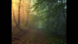 SPECTRE181   Dark Forest (Deep Progressive)