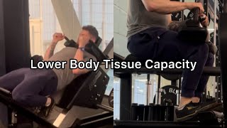 Lower Body Tissue Capacity  screenshot 1