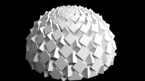 Fibonacci Zoetrope Bloom made using blender