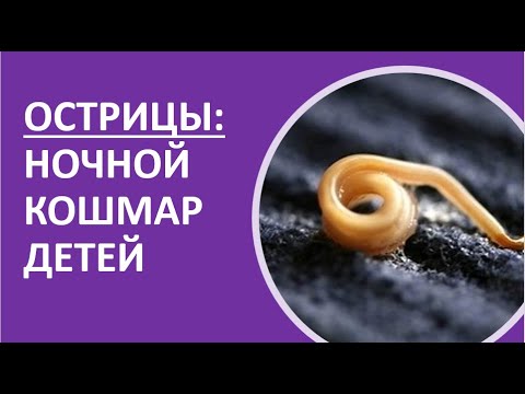 25. Острицы: ночной кошмар детей