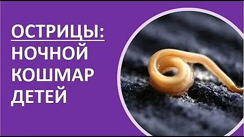 25. Острицы: ночной кошмар детей