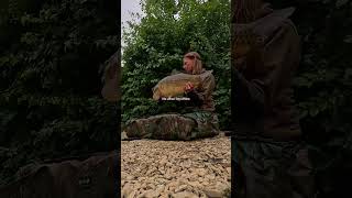A few catches from this year