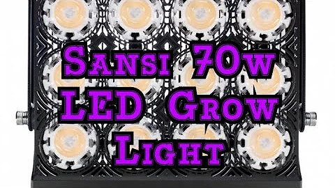 Hoya Grow Tent Set Up:  New Sansi 70w LEDs unboxing and review.