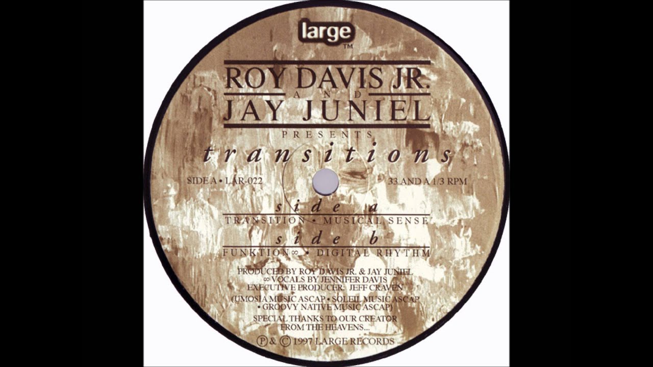 Roy Davis Jr. and Jay Juniel - Transitions