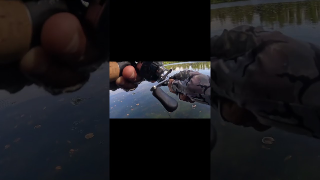 New season monster bass!!