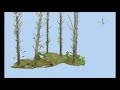 A Look at Full Tree Stem and Forest Plot LiDAR Scans