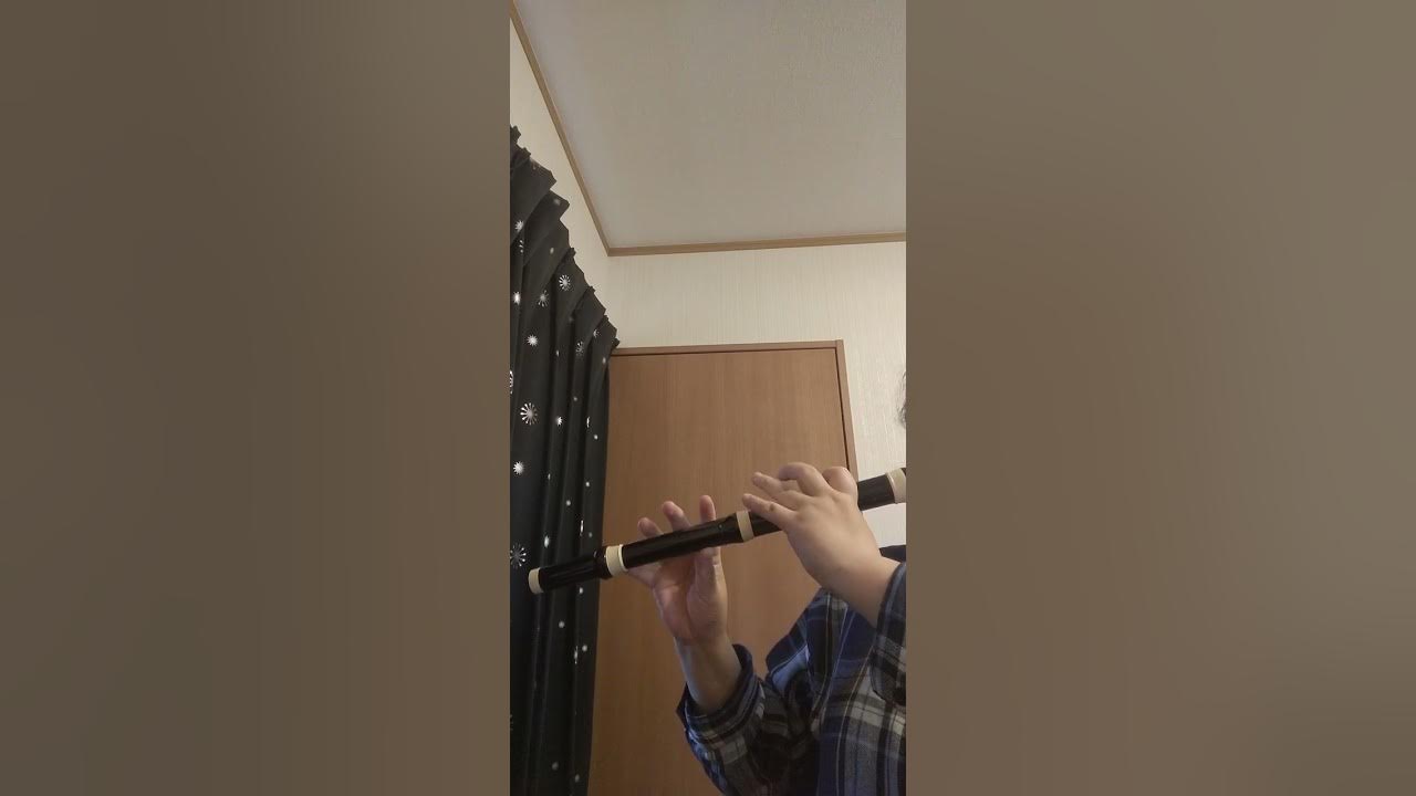 トラヴェルソ演奏 チェコ共和国国歌 「我が家何処や」 YouTube