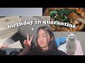 celebrating my birthday in quarantine! // new MacBook, playing pubg, elsa's surgery :(