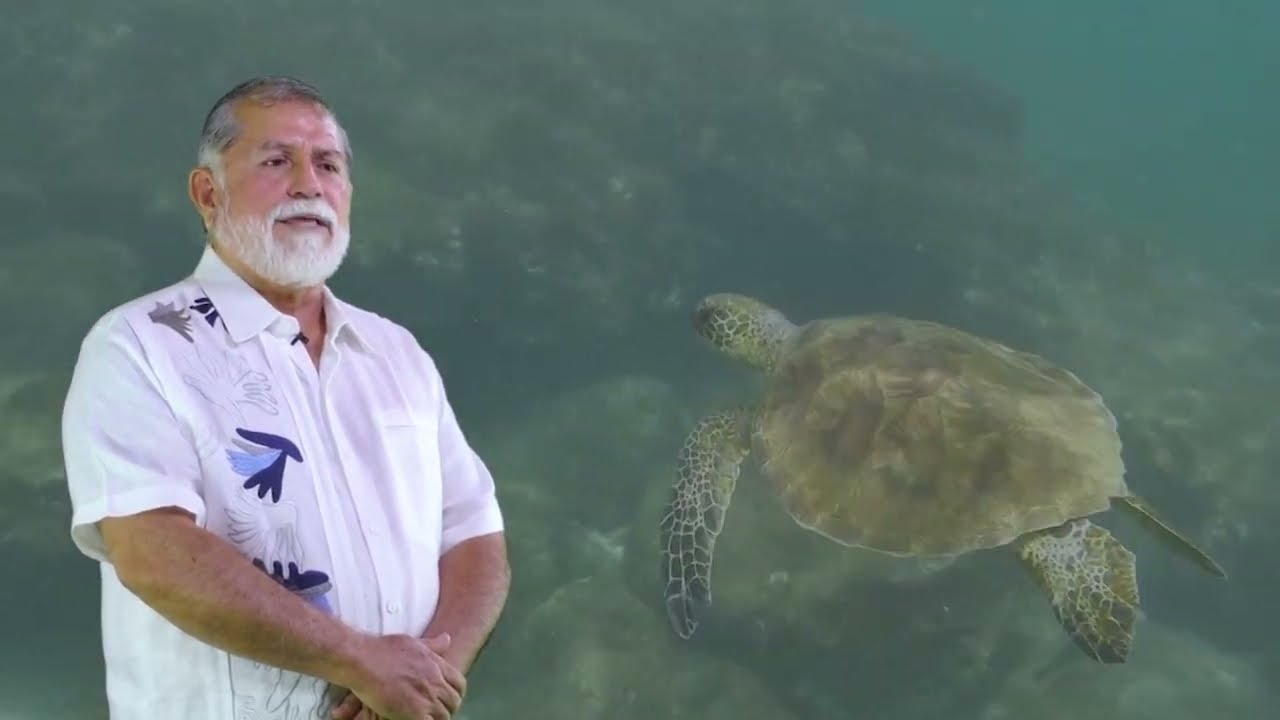 Pese a su importancia, el agua es un elemento que poco valoramos