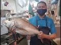 【老舗魚河岸】特大天然鯛捌き方・Làm thế nào để nấu ・How to prepare large fish
