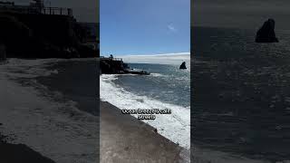 Morning Walk in Madeira | Calm Island #madeira #portugal