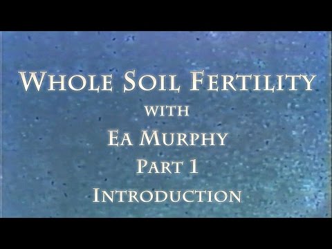 Video: Soil Conditioner: How To Use An Additive To Improve Soil Fertility, For Organic Farming And Restore Fertility