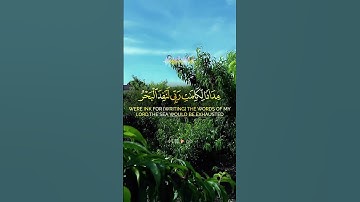 قرآن كريم #اكسبلور #الرحمن #music #دويتو #المصحف #خيل #المراه #قران_كريم #duet #اعتني
