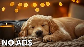 12 Hours Relax My Dogs 🐾 Dog Music – Dog Soft Soundscape For Stress Relief And Peaceful Dog Behavior screenshot 1