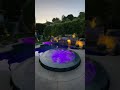 ON or OFF?! What do you guys think of color changing pool lights? 🦩✨😎