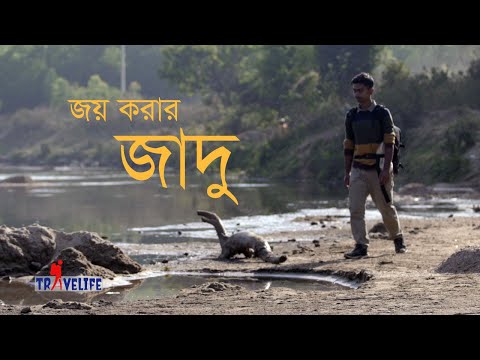 সবুজ পর্যটন l ইকোট্যুরিজম কী l ট্রাভেলাইফ l TRAVELIFE BANGLA l ecotourism l প্রকৃতিকে জয় করার জাদু