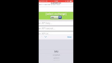 PalmaBot API keys local storage installation guide