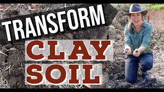 How Do I Improve Heavy Clay Soil in the Garden? screenshot 2