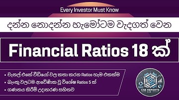 18 Financial Ratios Every Investor Must Know | ආයෝජකයෙක් දැනගත යුතුම මූල්‍ය අනුපාත | CSE Reports Hub