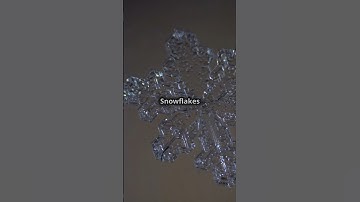 The Science of Snowflakes
