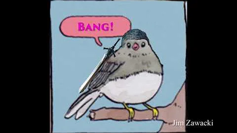 Devil Trigger of Nature Bird Meme