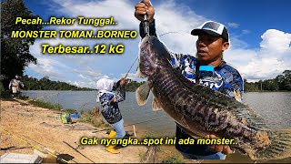 Rekor Tunggal || 12KG TOMAN MONSTER   Spot Dalam Hutan Danau BORNEO
