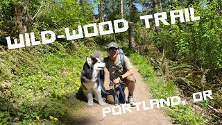 OUT IN THE WOODS || WILDWOOD TRAIL || PORTLAND