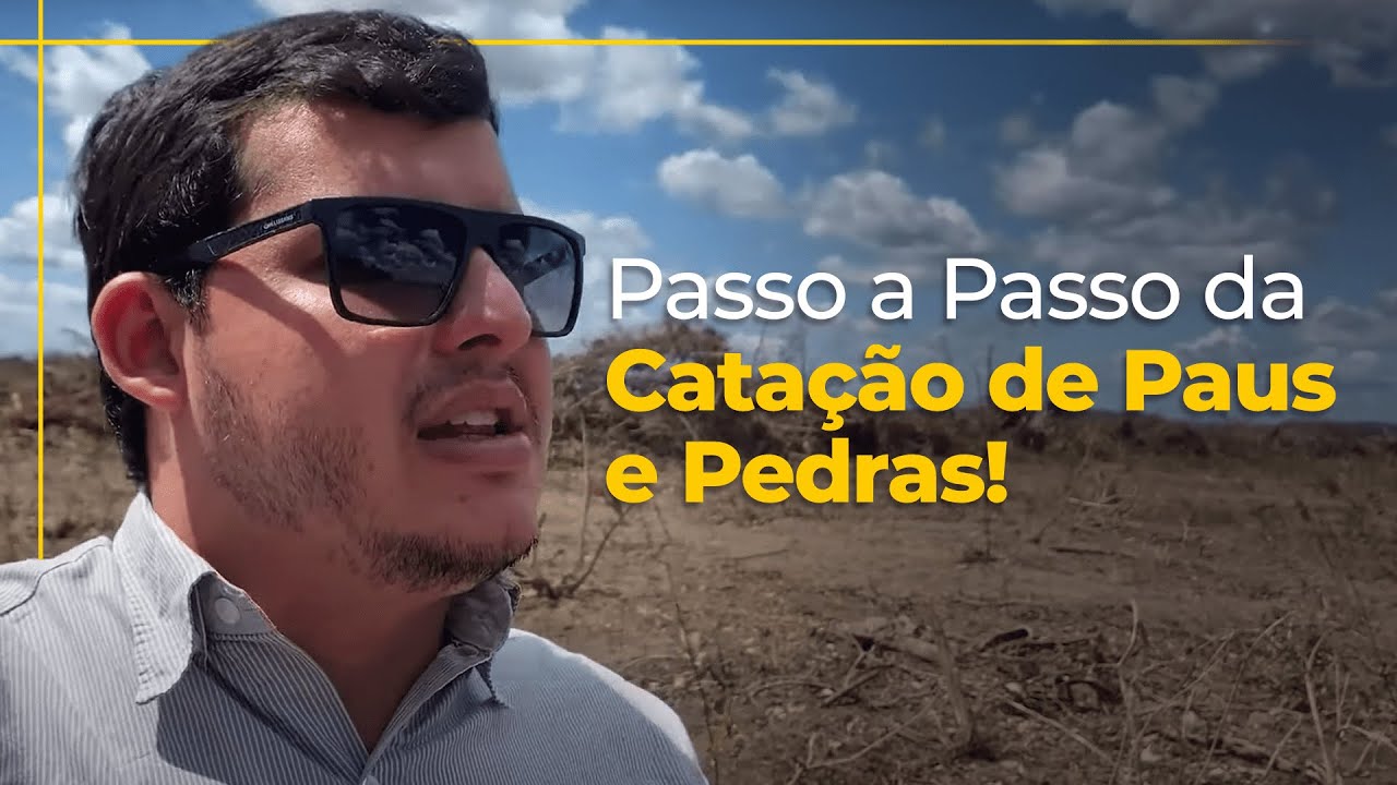 Conhecendo o PROCESSO: CATAÇÃO de PAUS e PEDRAS na Fazenda Boate! - YouTube