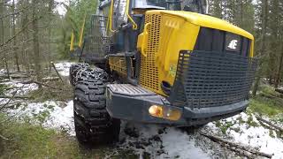 Eco Log 1050F - 10-ton forwarder in thinning