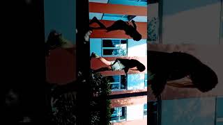 20 Июня 2022 Г.