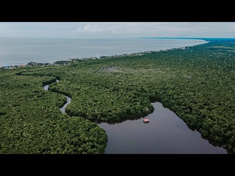 CIENAGA LA CAIMANERA