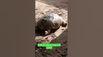 آيات بينات من كتاب الله العزيز الحكيم الغفور الرحيم...
