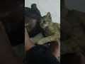 balik ja trus kena tangkap kaki ni 😂