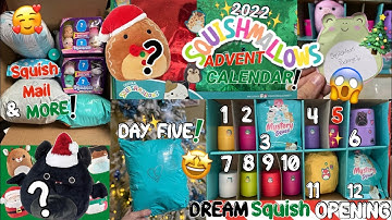 Squishmallows❄️ADVENT🤯Calendar DAY 5 Mystery✨SquishMail Package Opening!~VLOGMAS~DREAM🖤Rare Squish