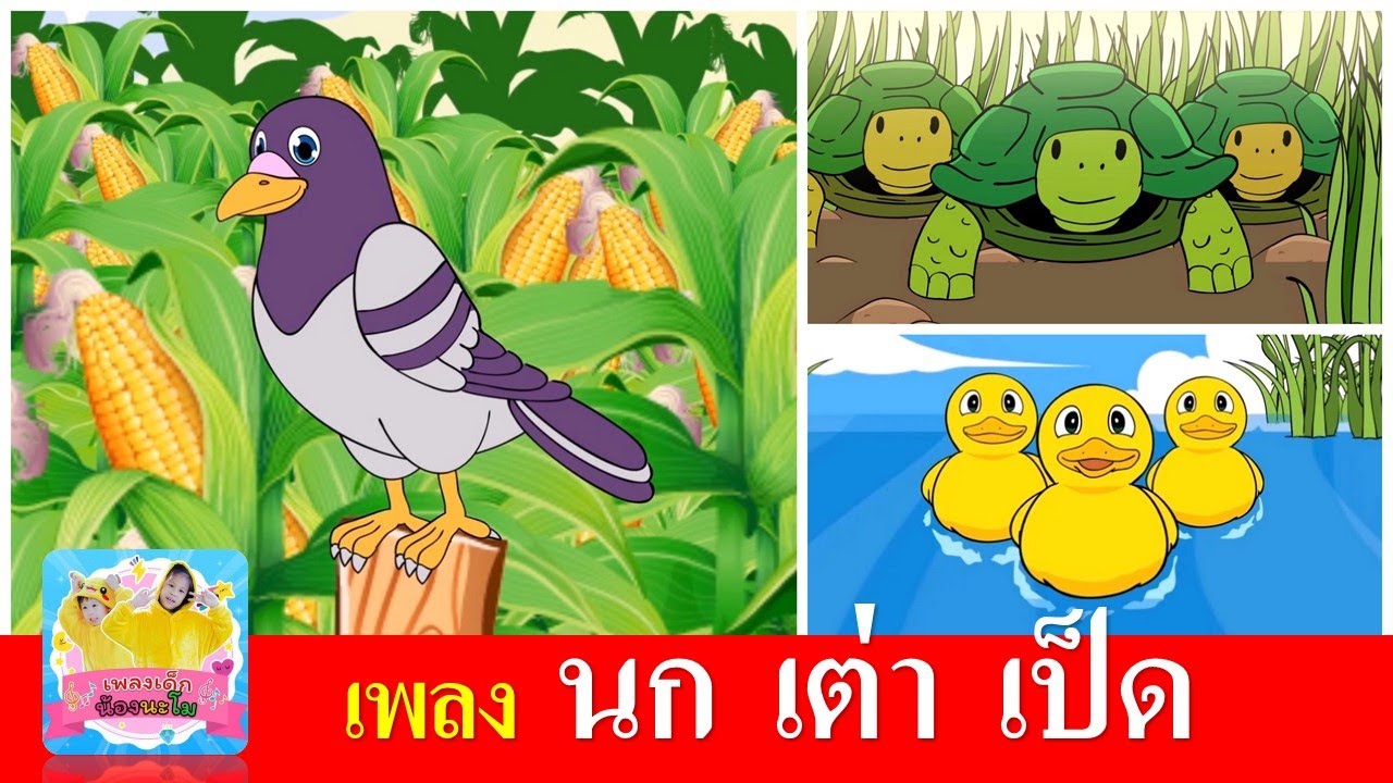 เพลงเด็ก นก เต่า เป็ด | นกเขาบินข้ามเขา | เต่าเอ๋ยเต่า | เป็ดอาบน้ำในคลอง