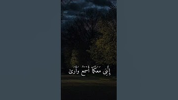 تلاوه خاشعه تقشعر منها الأبدان #اكسبلور #القارئ شريف مصطفى سورة طه #اكسبلورر