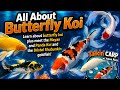 Talkin' Carp w/ Aqua Alex: Butterfly Koi