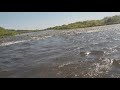 Ловля голавля на спиннинг в июне на реке Сосна