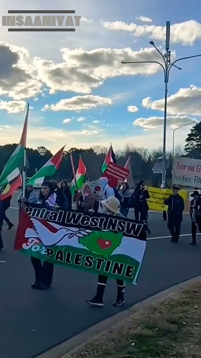 Palestine Still Whispers the Songs of Home