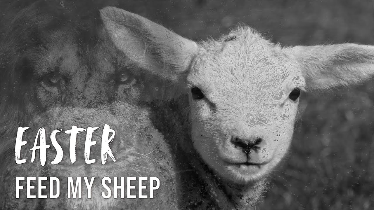 Easter Feed My Sheep YouTube easter-feed-my-sheep-youtube