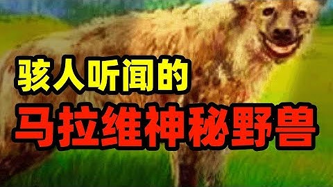 未知生物現身非洲！食人怪物襲擊村莊，死而復生的神秘野獸傳說｜代鸿project