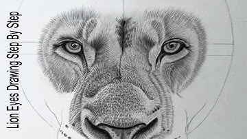 How to draw a Realistic Lion Eyes and easily shade the details of the surrounding fur step by step