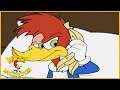Woody Woodpecker Show | Spring Cleaning | 1 Hour Compilation | Videos For Kids