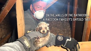 In the Walls of the Bathroom: A Raccoon Family's Untold Tale by Gates Wildlife Control 16,435 views 8 months ago 15 minutes