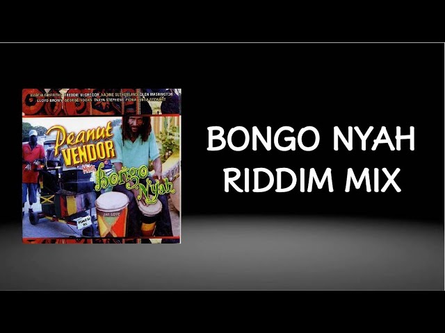 Bongo Nyah Riddim Mix (2004) class=