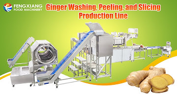 Ginger Washing Peeling Cutting Processing Line