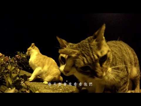 愛是一種責任