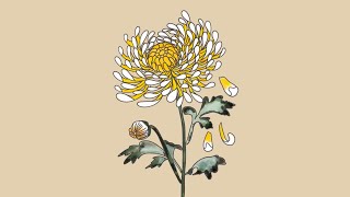 Petals of Remembrance | Chrysanthemum