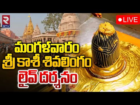 కాశీ శివలింగం లైవ్‌ దర్శనం🔴LIVE: Kashi Vishwanath Darshan || Saptarishi Aarti | RTV Nellore