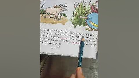 How does it Grow Part 1 CLASS 3